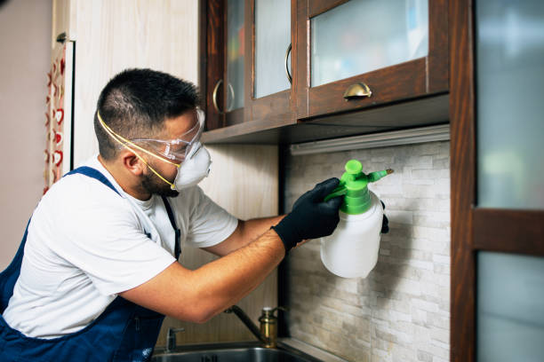 Wildlife Control Services in Western Lake, TX