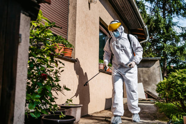 Best Local Pest Control Services  in Western Lake, TX