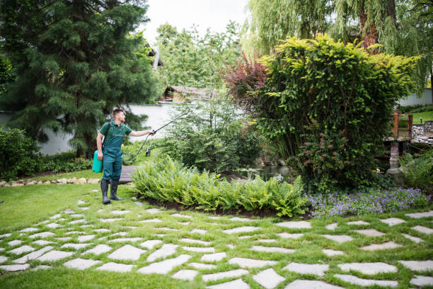 Best Mosquito Control Services  in Western Lake, TX