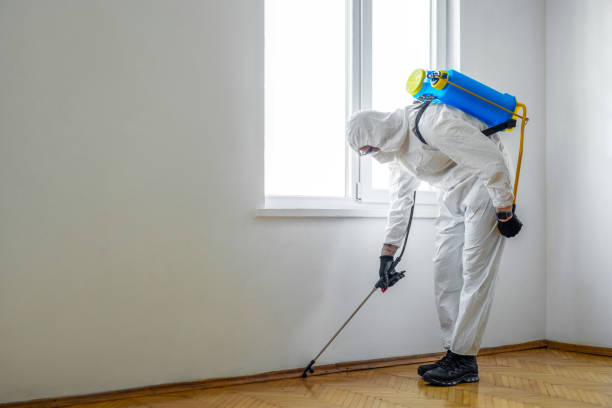 Best Exterminator Services  in Western Lake, TX