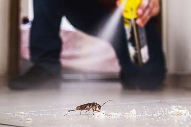 Best Affordable Pest Control Services  in Western Lake, TX