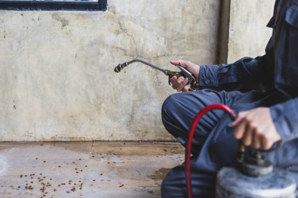 Best Residential Pest Control  in Western Lake, TX
